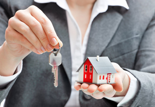 Estate Planning Lawyer, North Tampa