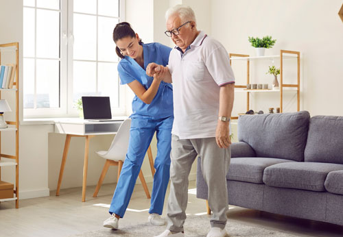 Elder Law Attorney, Wesley Chapel