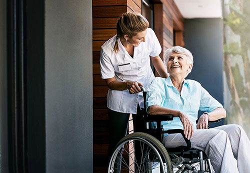 Elder Law Attorney, North Tampa, FL